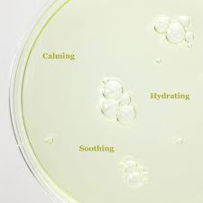 Beauty of Joseon Calming Serum Green Tea + Panthenol (30ml)